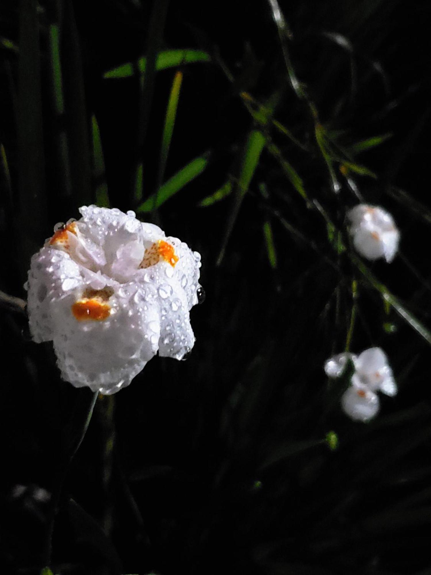 Pousada Vila Minas Itanhandu Buitenkant foto